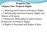 Property Chapter 1 (1).pptx